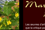 Aper&ccedil;u du site